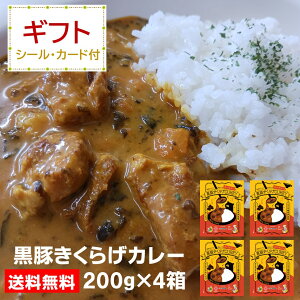 MtgJ[4Zbg gg@J[@؂炰J[@򓴍؁@炰  Ε a  j j