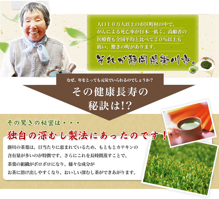 楽天市場】3種類から選べる日本茶【送料無料】 深蒸し 掛川茶 あら茶 