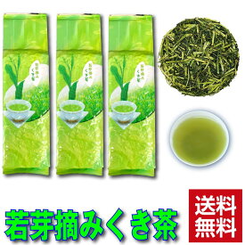 若芽摘み くき茶 300g×3袋入 送料無料 卸価格商品