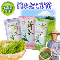 深蒸し茶 3点セット 日本茶 新茶 大走り 初摘み 八十八夜 深蒸し茶 掛川茶 茶葉 静岡茶 煎茶 お茶 深むし…