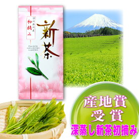 新茶 深蒸し茶『初摘み』 日本茶 お茶 飲料 深蒸し 掛川茶 緑茶 茶葉 リーフ 静岡茶 煎茶 静岡茶 掛川茶 お茶 深蒸し茶 緑茶 送料無料 静岡茶 煎茶 緑茶 深むし茶 おしゃれ 急須 茶葉 カテキン EGCG エピガロカテキン