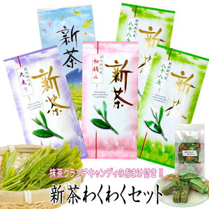 {  V킭킭5܃Zbg 呖100g×1܁{E100g×1܁{ \100g×2ܐV xm̗×1 |쒃  [ Β  É  Β [ނ }{ t JeL 