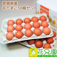 【送料無料】花たまご （30個） 卵 玉子 タマゴ たまご 鶏卵 赤殻 赤がら 新鮮 産みたて 産直 産地直送 …
