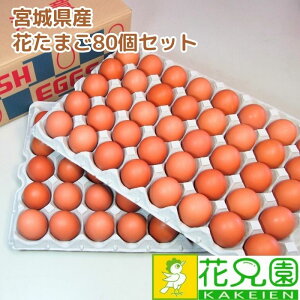【送料無料】花たまご (80個) 卵 玉子 タマゴ たまご 鶏卵 赤殻 赤がら 新鮮 産みたて 産直 産地直送 生卵 濃厚 採れたて 生みたて 卵かけごはん 卵かけご飯 卵焼き 玉子焼き 養鶏場直送 宮