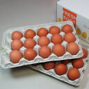 店長赤字覚悟! 花たまご (30個)【送料無料】 半額 50%off 50%OFF 卵 玉子 タマゴ たまご 赤殻 赤がら 新鮮 Non-GMO ノンGMO ポ...