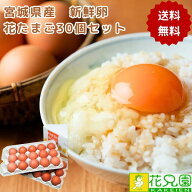 【送料無料】花たまご （30個） 宮城県産 送料無料 新鮮な産地直送卵 卵かけご飯におすすめ 生卵 鶏卵 玉…