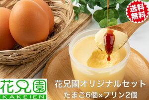 花 プリンの人気商品 通販 価格比較 価格 Com