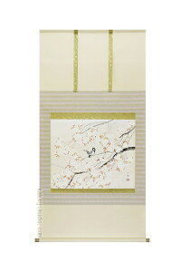 掛軸 桜 (出口華凰)送料無料 【肉筆】【掛軸】【一間床】【丈の短い掛軸】【春】