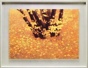 R@΁@G@sH@yzypzyzyό^z