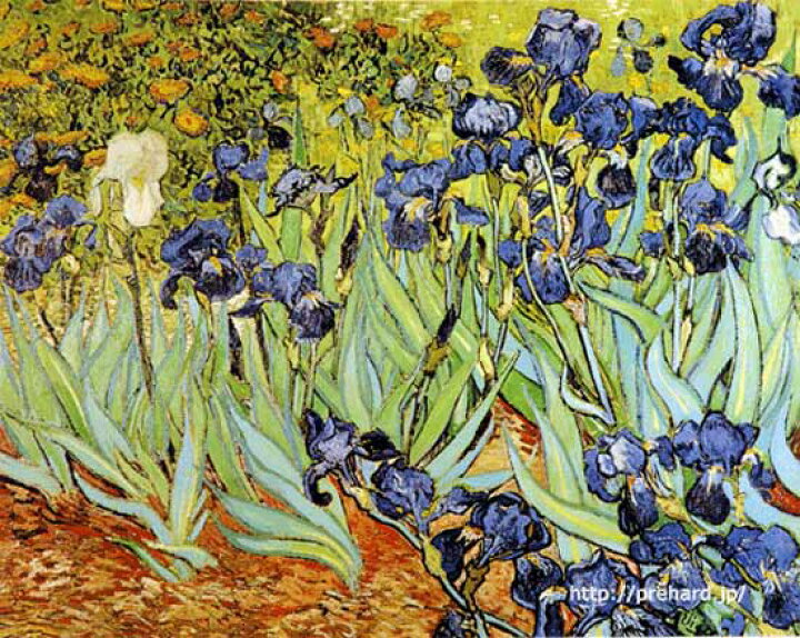 楽天市場】ゴッホ 絵画 アイリス F8号 送料無料 【複製】【美術印刷 