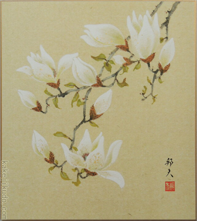 楽天市場】高級色紙「木蓮」邦夫（色紙絵）送料無料 : 掛け軸・絵画の 