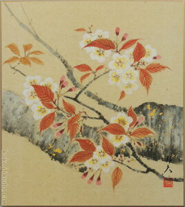 高級色紙「桜」邦夫(色紙絵)送料無料