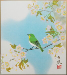 高級色紙「桜に小禽」亜綜(色紙絵)送料無料