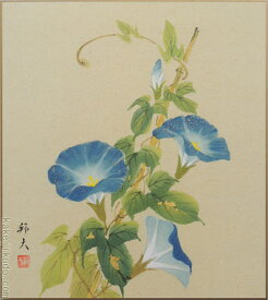 楽天市場 色紙 絵 朝顔の通販