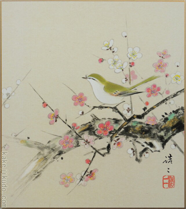 楽天市場 高級色紙 梅に鶯 浩二 色紙絵 送料無料 掛け軸 絵画の専門店 掛軸堂画廊