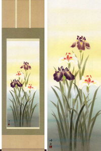 掛け軸 菖蒲 (園田峰彩) 送料無料 掛軸