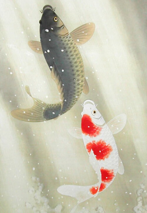 楽天市場】掛け軸 夫婦滝登り鯉 (出口華凰) （掛軸小物なし) 送料無料  