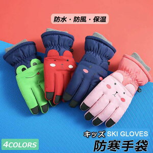  XL[p O[u LbY ̎q j̎q Xm[{[h h Xm[O[u ܖ{w ʊw ] ~  h h ۉ N