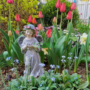 Vg̒u du Vg u I[ig  ~j GWF K[fEBOXGWF  킢 Vgu  