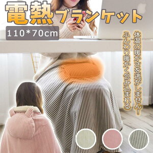 Ђ|dCѕz uPbg dCѕz 110×70cm RۖhLH Ђ| usb | 5waydl dCѕzuPbg