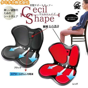 2024 ֎q ՃT|[g`FA   T|[g V[g `FA p p  Ղ̘c