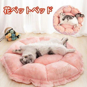 �y�b�g�x�b�h �L�x�b�h ���킢�� �������� �y�b�g�x�b�g ���x�b�g ���x�b�h ���^�� �L�n�E�X �L�p �x�b�g �z�c �a�����v���[���g ���p