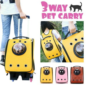 ybgL[ bN Lp p ^ (L[t)   obO bNTbN U[ v FD hbO