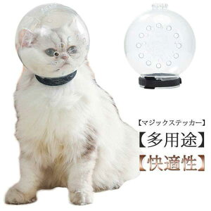 L   ybg}XN FwbhMA ʋC Lp GUxXJ[ Lp}XN Lp}Y ܐ؂⏕p lR ˂ ܐ؂