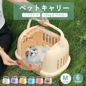 ybgL[  L L[P[X L[obO ybgpL[ MTCY ω׏d10kg n[h L[ Rei o肵₷2