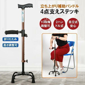 XebL    ܂肽 ⏕nh 4_ s⏕ l_[^Cv hV̓ `FA[ y 10iK\ 