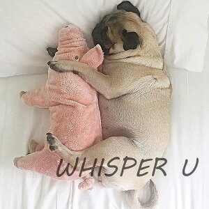 ybg   L  ʂ  sbO Aj} ӂӂ  sN j gC 蕨  ybgObY 