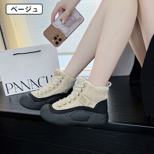 Xm[u[c fB[X LeBOXm[u[c v  ~ h  h N 5cm ϖ ʋC u[c V[gu[c