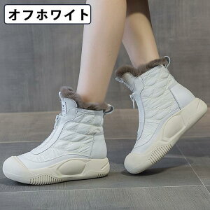 Xm[u[c fB[X LeBOXm[u[c v  ~ h  h N 5cm ϖ ʋC u[c V[gu[c