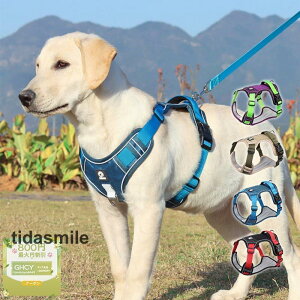 ybgn[lX  L [h ϋv v  @\  `bL 4TCY  ʋC K ł  ^ ɂ