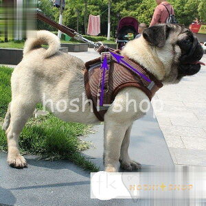 n[lX  [ht ybg \tgn[lX  bVf xXg ^ ^ ^ p [h ybgpi pi L L