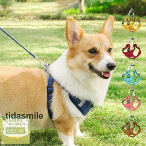 ybgn[lX [h  L  U Zbg `bL ʋC ł ^ ^  S  y ϋv _炩