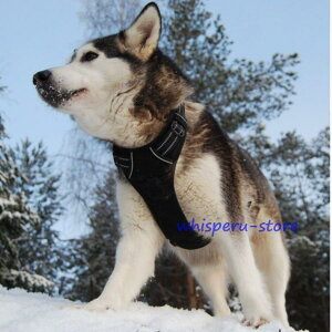 p n[lX ^ ^ ^ ybgpn[lX bV@ʋC@u₩@S4F S M L XL wnh ˕z ybgp