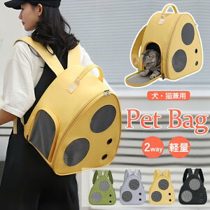 ybgbN L[obO ybgobO L ʋCQ y ybgL[ ybgL[bN ybgobO ybgL