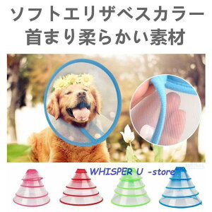 L/XLTCYybglRp\tgGUxXJ[/ȒP/܂_炩f/ppi/p//p̏ی/Emۏp㒅r