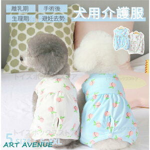 IV  p㕞 ̎q j̎q D  p㕞 IX X rߖh~ pEGA Lk 畆ی ^ pEFA y