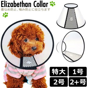 GUxXJ[  L \tg^ ^  ybgp (卆2+) y Ȃߖh~ LY~h~ ی pi veN