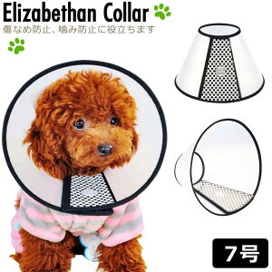 GUxXJ[  L \tg^ ^  pPA ybgp (7) y Ȃߖh~ LY~h~ ی pi v