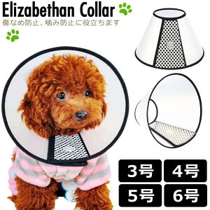 GUxXJ[  L \tg^ ^  pPA ybgp (36) y Ȃߖh~ LY~h~ ی pi