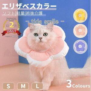 \tgyʃ^Cv h[icGUxXJ[ pi lRLp pȎyʏpEFAی쏝rߖh~ ~h~wXPA