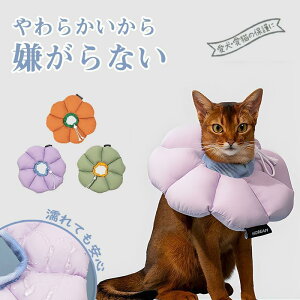 i GUxXJ[h[ic^ ybgp\tgGUxXJ[ Ck LlR p h \tg^Cv ȒP y ܂_