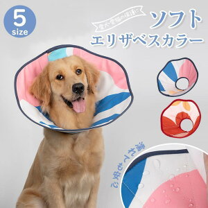 i GUxXJ[ ybgp\tgGUxXJ[ x^ Ck L lR p \tg^Cv h ȒP y ܂_炩