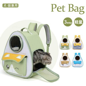 3WAY ybgbN L[obO ybgobO L ʋCQ y ybgL[ ybgL[bN ybgobO ybg