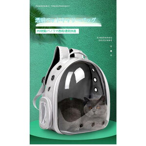 ybgL[obO LL[ Lp FDJvZ^ bNTbN sybgobO  o UVJbgO΍^ 