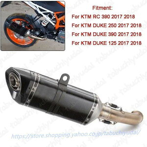 KTM Duke 250/390 RC390 AKRAPOVIC 2017/2018 f (AN|Bb`) J[{ }t[