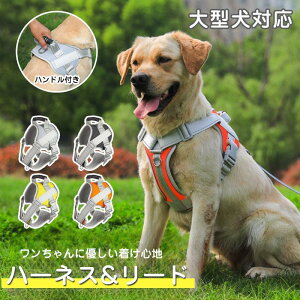 ^Ή pn[lX [h Zbg  n[lX [ht ybgp  ^ ^  nhtqh~ Eh~ ȒP